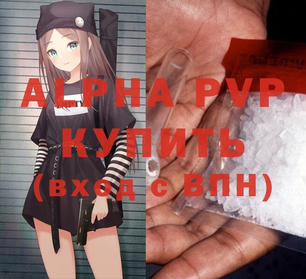 индика Лабытнанги