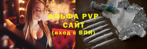 индика Лабытнанги