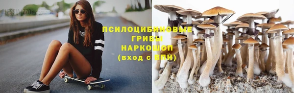 индика Лабытнанги