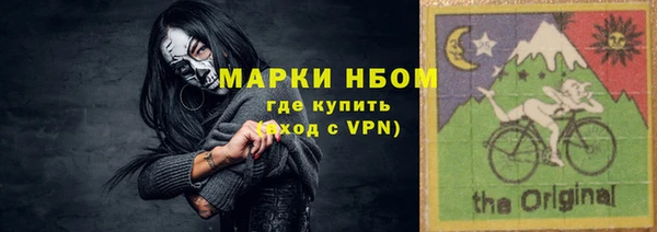 индика Лабытнанги
