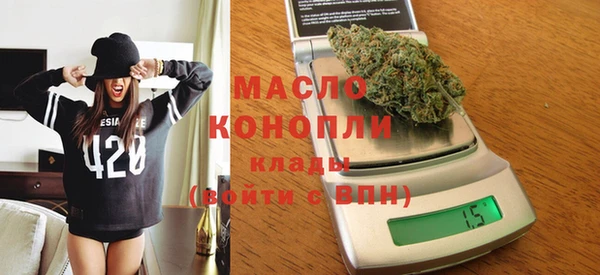 индика Лабытнанги