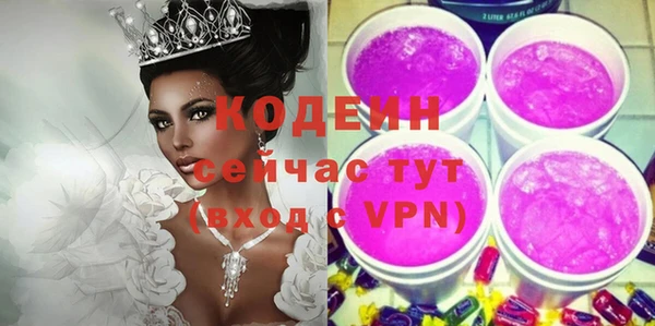 индика Лабытнанги