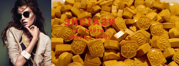 индика Лабытнанги