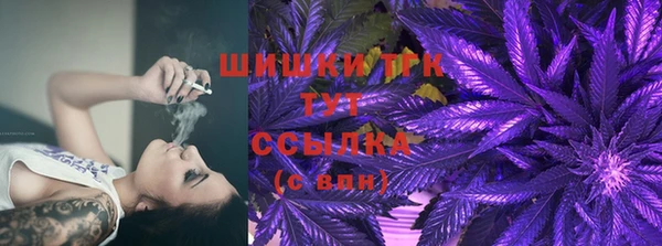 ПСИЛОЦИБИНОВЫЕ ГРИБЫ Лагань