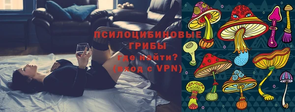 ПСИЛОЦИБИНОВЫЕ ГРИБЫ Лагань