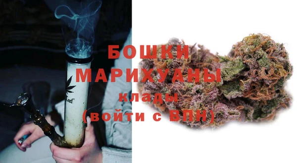 индика Лабытнанги