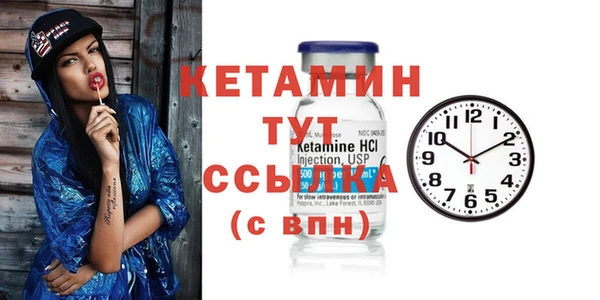 индика Лабытнанги