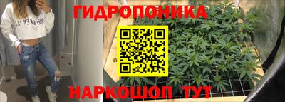 дмт Гатчина