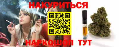 дмт Гатчина