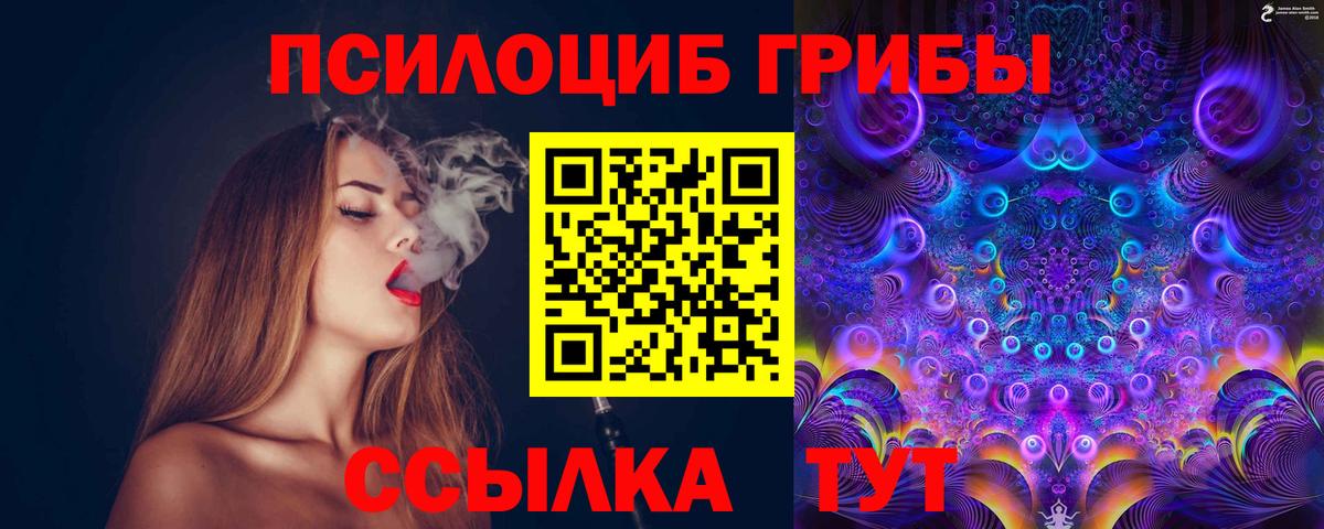Галлюциногенные грибы Psilocybine cubensis  Вход с VPN  купить наркотики цена  Ангарск 