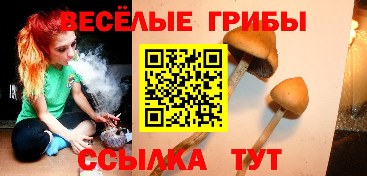 Галлюциногенные грибы GOLDEN TEACHER  Галлюциногенные грибы мицелий  Вход с VPN  как найти закладки  Ангарск 